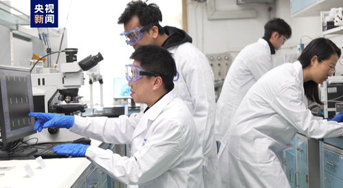 我國科研人員實(shí)現(xiàn)二維金屬碲化物材料宏量制備，助力材料科學(xué)規(guī)模化應(yīng)用