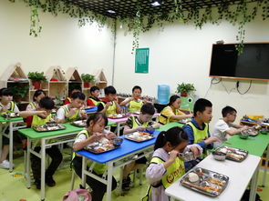 幼兒園外托管班成功開辦指南 從市場調查到服務優化的全面準備